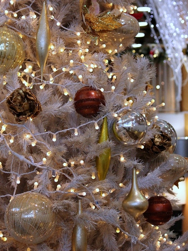 f:id:noraneko222:20121128193544j:image