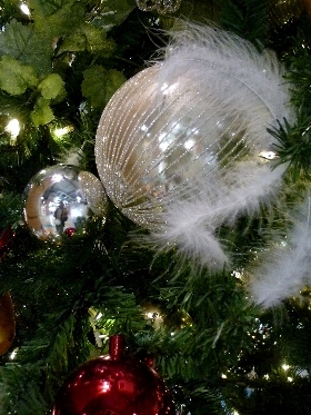 f:id:noraneko222:20121128193548j:image