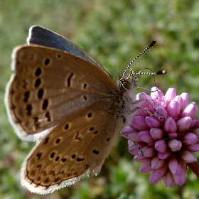 f:id:noraneko222:20121130182831j:image