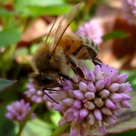 f:id:noraneko222:20121130182837j:image