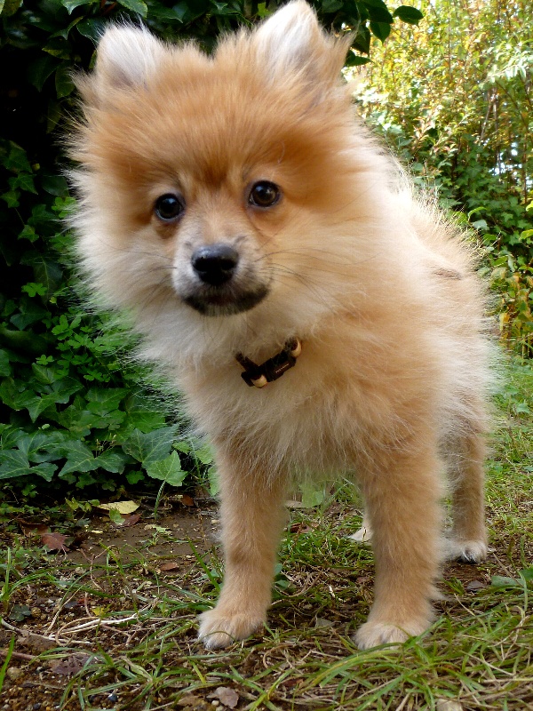 f:id:noraneko222:20121130183449j:image f:id:noraneko222:20121130183449j:image