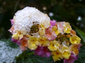 f:id:noraneko222:20121210181500j:image