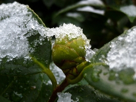 f:id:noraneko222:20121210181501j:image