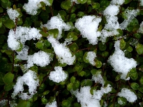 f:id:noraneko222:20121210181503j:image