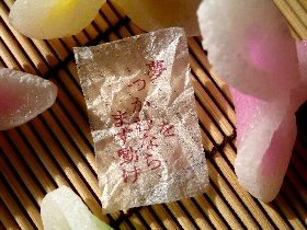 f:id:noraneko222:20121231162653j:image f:id:noraneko222:20121231162653j:image