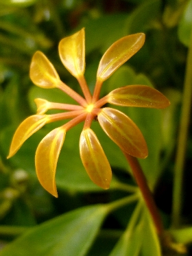f:id:noraneko222:20130118185357j:image
