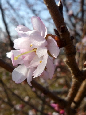 f:id:noraneko222:20130120182247j:image