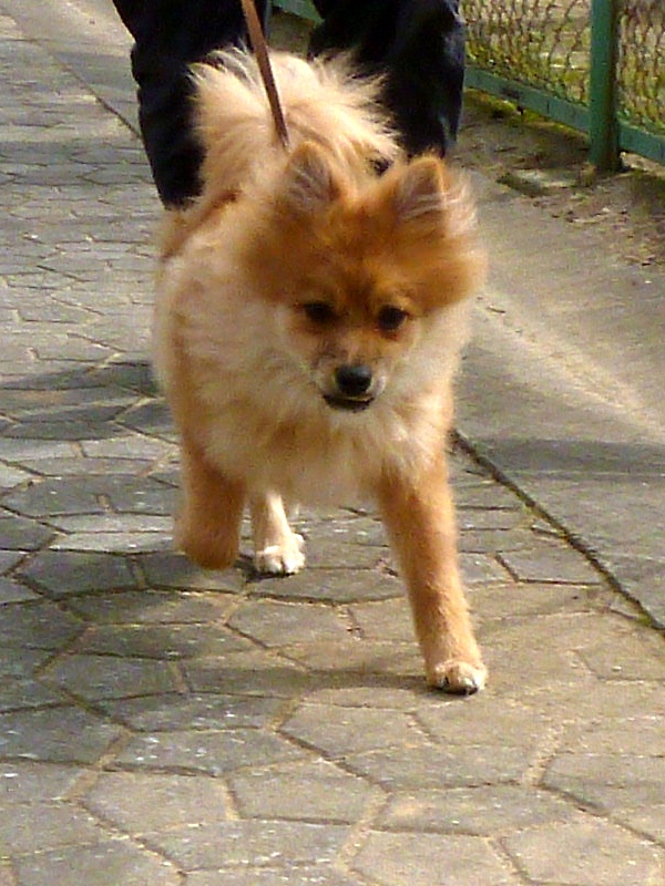 f:id:noraneko222:20130218184341j:image f:id:noraneko222:20130218184341j:image