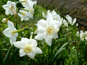f:id:noraneko222:20130405204655j:image f:id:noraneko222:20130405204655j:image
