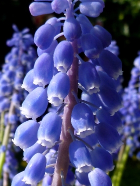 f:id:noraneko222:20130405204809j:image