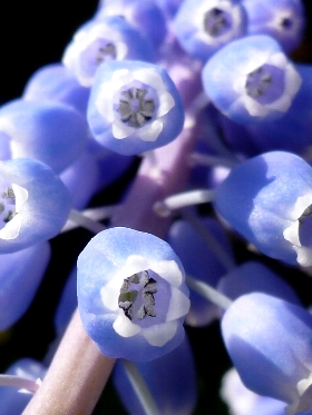f:id:noraneko222:20130405204810j:image f:id:noraneko222:20130405204810j:image