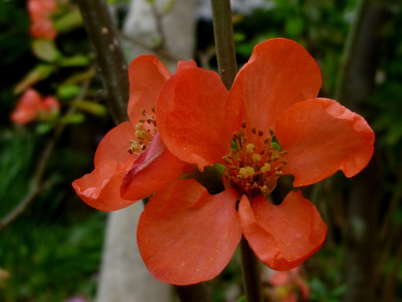 f:id:noraneko222:20130408193236j:image f:id:noraneko222:20130408193236j:image