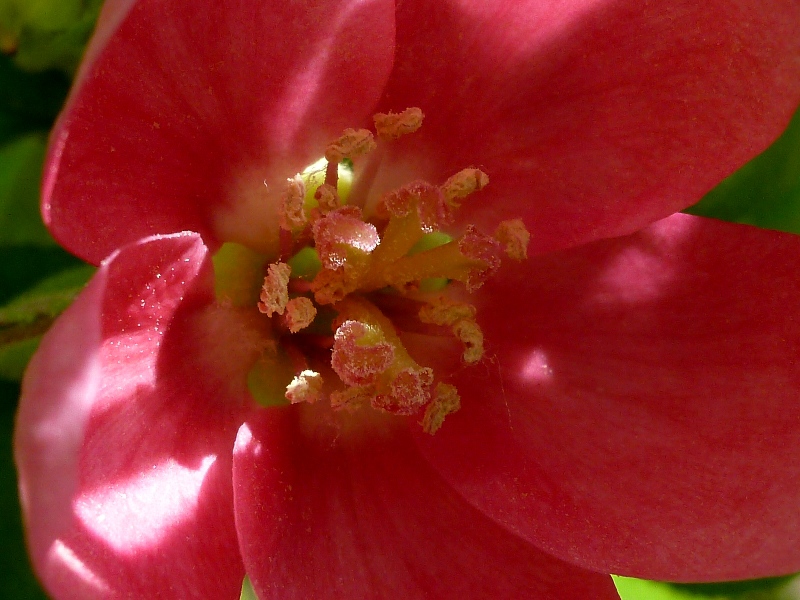 f:id:noraneko222:20130408193308j:image f:id:noraneko222:20130408193308j:image