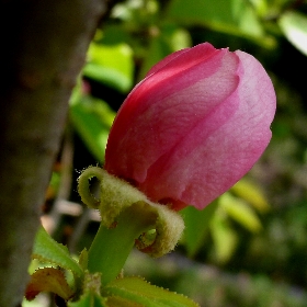 f:id:noraneko222:20130408193310j:image
