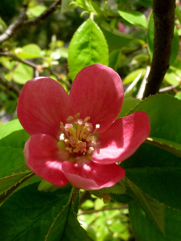 f:id:noraneko222:20130408193311j:image f:id:noraneko222:20130408193311j:image