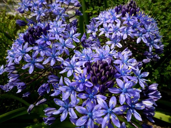 f:id:noraneko222:20130430192811j:image