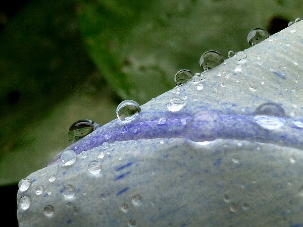 f:id:noraneko222:20130621214330j:image
