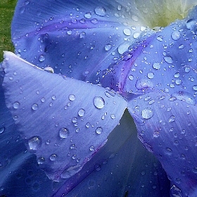 f:id:noraneko222:20130621214334j:image