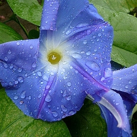 f:id:noraneko222:20130621214428j:image