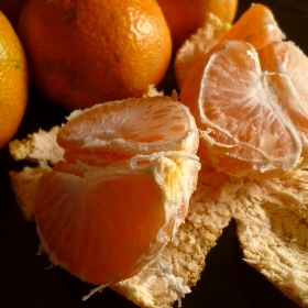 f:id:noraneko222:20131118205807j:image
