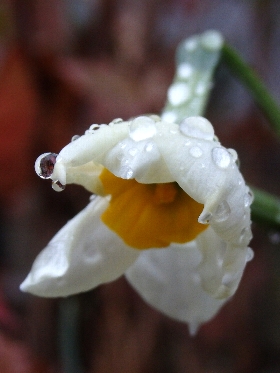 f:id:noraneko222:20131218193305j:image