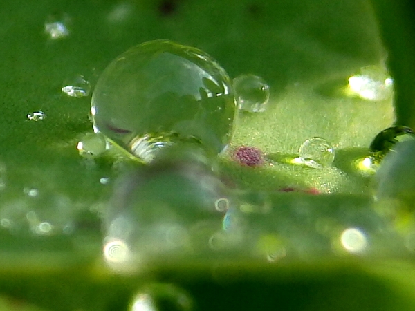 f:id:noraneko222:20131221195436j:image