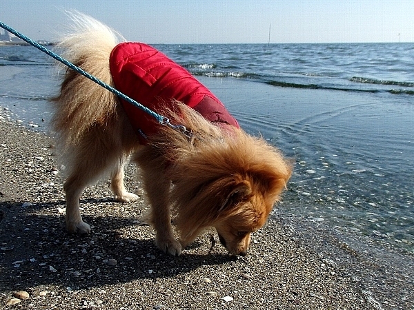 f:id:noraneko222:20140310184936j:image f:id:noraneko222:20140310184936j:image
