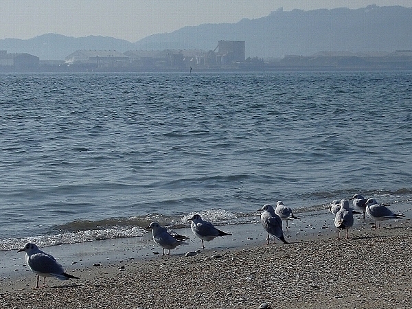 f:id:noraneko222:20140310184939j:image f:id:noraneko222:20140310184939j:image