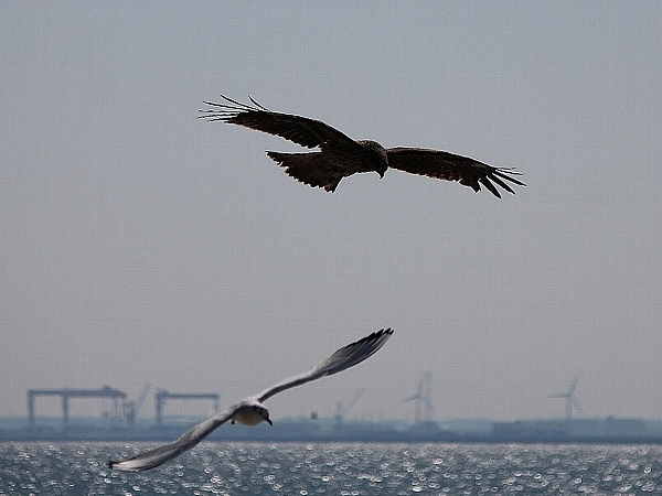 f:id:noraneko222:20140310184941j:image f:id:noraneko222:20140310184941j:image
