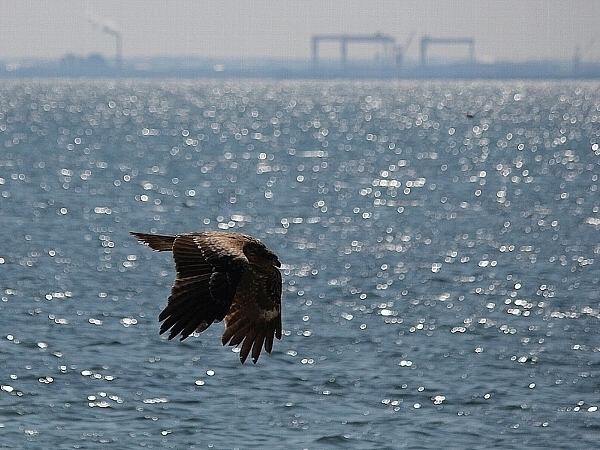 f:id:noraneko222:20140310184943j:image f:id:noraneko222:20140310184943j:image