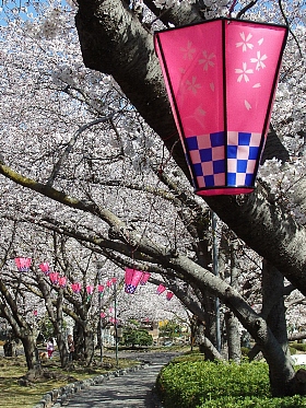 f:id:noraneko222:20140331192434j:image