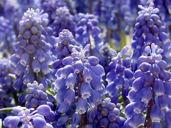 f:id:noraneko222:20140404185941j:image