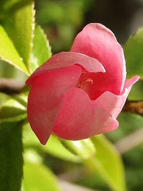 f:id:noraneko222:20140407220031j:image f:id:noraneko222:20140407220031j:image