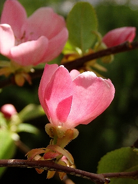 f:id:noraneko222:20140407220033j:image