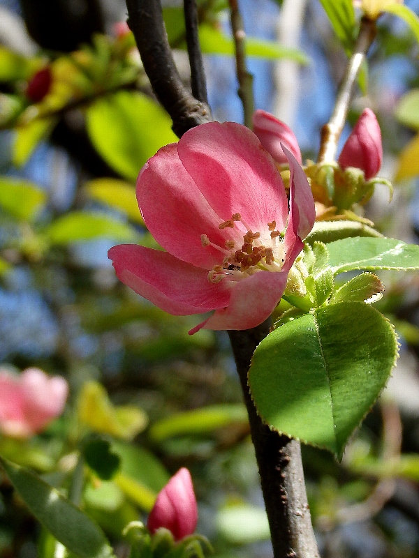 f:id:noraneko222:20140407220037j:image f:id:noraneko222:20140407220037j:image