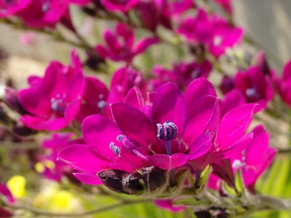 f:id:noraneko222:20140426194008j:image f:id:noraneko222:20140426194008j:image