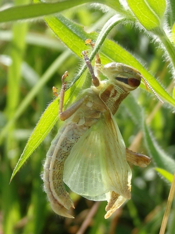 f:id:noraneko222:20141003210704j:image f:id:noraneko222:20141003210704j:image