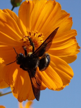 f:id:noraneko222:20141004232608j:image f:id:noraneko222:20141004232608j:image
