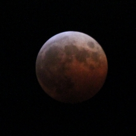 f:id:noraneko222:20141008223554j:image