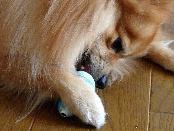 f:id:noraneko222:20141021210443j:image f:id:noraneko222:20141021210443j:image