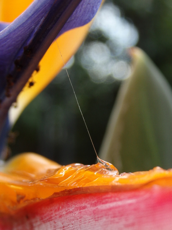 f:id:noraneko222:20141023193431j:image f:id:noraneko222:20141023193431j:image