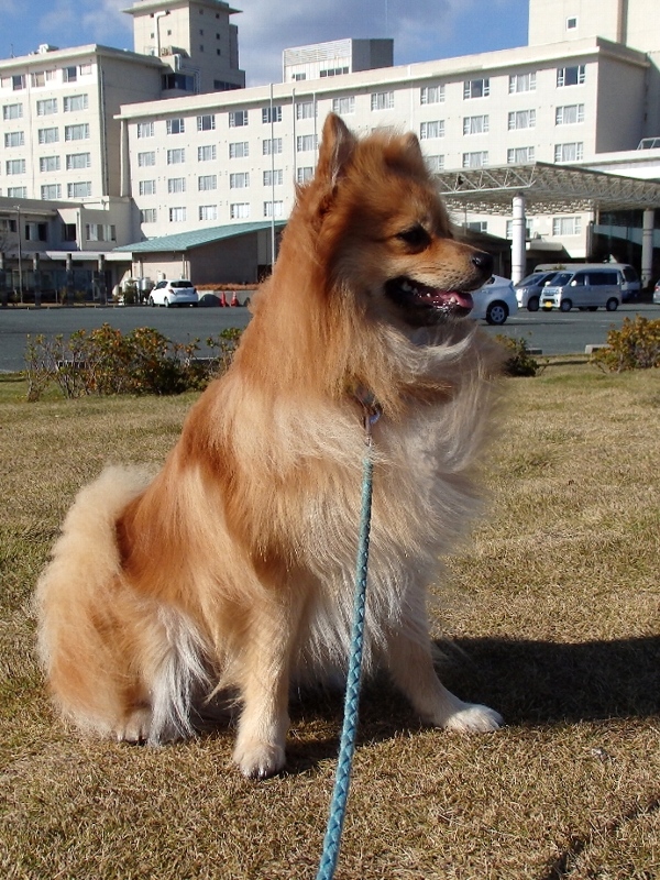 f:id:noraneko222:20141202223200j:image f:id:noraneko222:20141202223200j:image