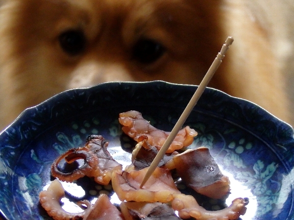 f:id:noraneko222:20141212234126j:image