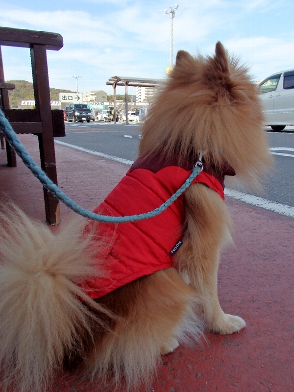 f:id:noraneko222:20141214212600j:image f:id:noraneko222:20141214212600j:image