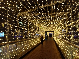 f:id:noraneko222:20141215223103j:image