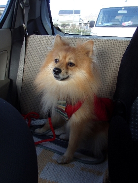 f:id:noraneko222:20141224212701j:image