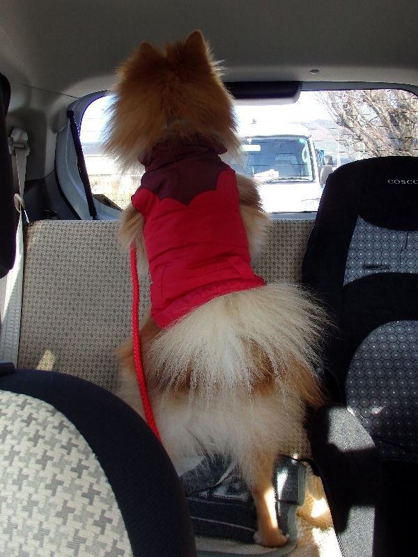 f:id:noraneko222:20141224212703j:image
