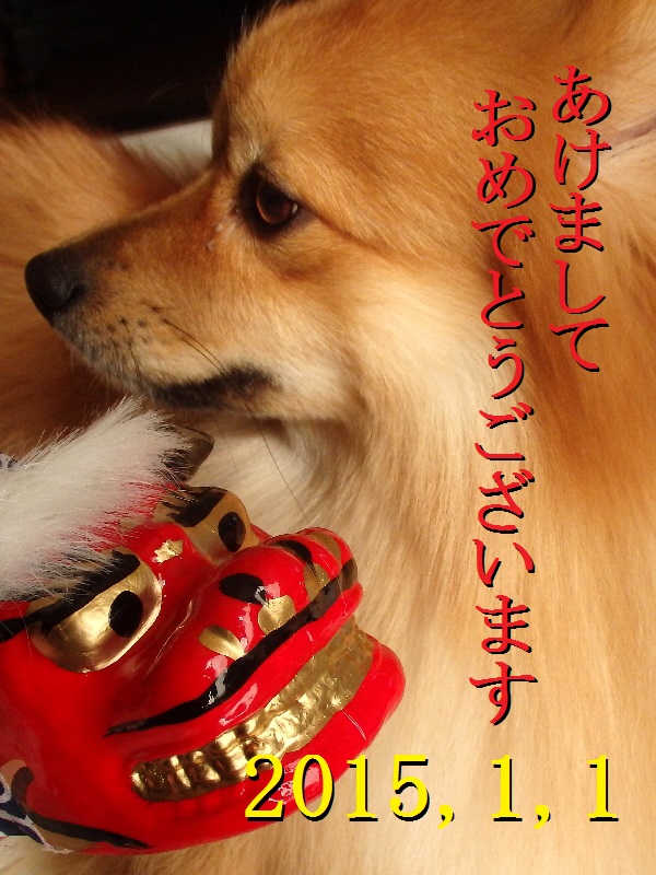 f:id:noraneko222:20150101013441j:image f:id:noraneko222:20150101013441j:image