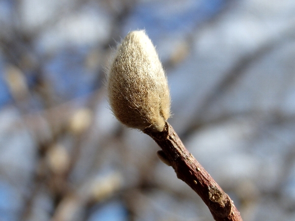 f:id:noraneko222:20150108212619j:image f:id:noraneko222:20150108212619j:image