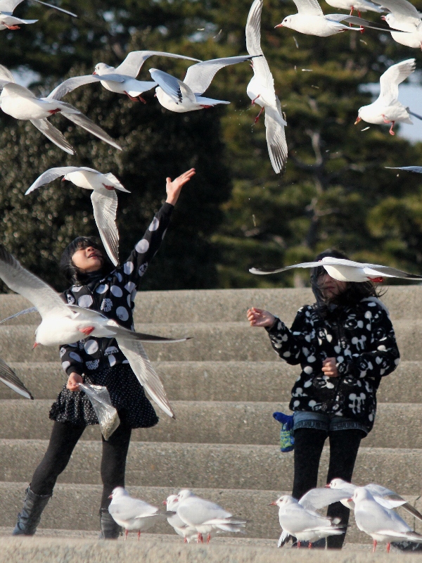 f:id:noraneko222:20150116195411j:image f:id:noraneko222:20150116195411j:image